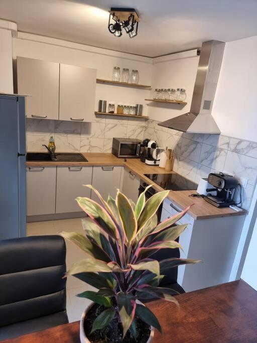 Appartement Vue Mer Avec Parking Gratuit Sur Place Bastia  Luaran gambar